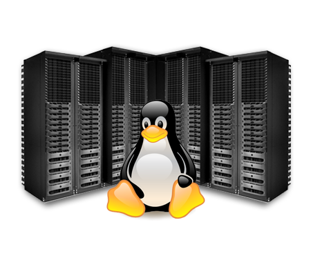 Linux Web Hosting Services Provide